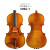 クリシティーナ(Christina)クリーシー演奏、バイオリンV 09 G-1瓜式プロ1/4が身長125 cm以上にフィットします。