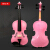 琴茲(Qin Ci)楽器初心者の子供、バイオリン成人、バイオリン配送セクト1/2ピンク