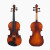 鳳霊巴イオンMV 012 W(マットライト)初めて弦楽器を練習した子が大人に入門します。雲杉実木鳳霊1/4 baイオリン（身長115-25 cm）