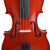 里歌LIGEバイオリン初学入門バイオリン供成人普及練習バイオリン実木バイオリン音楽器LV-137（雲杉木）2/4（身長125-135 cmに適）