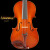 梵阿玲V 118斯式の独奏の金欧料の手制のバイオリンのインプット品の演奏のレベルの音色の通透は4/4サイを邮便します。