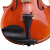 里歌LIGEバイオリン初学入門バイオリン供成人普及練習バイオリン実木バイオリン音楽器LV-288（雲杉木）4/4（身長145 cm以上に適）