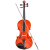 里歌LIGEバイオリン初学入門バイオリン供成人普及練習バイオリン実木バイオリン音楽器LV-129（雲杉木）1/4（身長115-125 cmに適したもの）