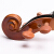 台氏(Tviolin)试验级バーイオリン実木初心者手作り子供演奏级バーイオリン练习用琴子供バーイオーレ楽器启蒙优先モデル1/10サイズ身长105 cm浓い色が适用されます。
