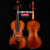 クレシティーン3000 Aの入力品演奏のグーレドアート作業の実木大人の子供供楽器EU 3000 A 4/4の身長は155 cm以上です。