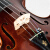 台氏(Tviolin)バイオリン初心者入门手艺実木楽器入力级学生试采采成人演奏级児童バイバイオリン音楽器1/2サイズ入力品演奏款深科コーヒ色1匹