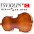 台氏（Tviolin）は、アンティク・マイルド级バイリンンの初めめの心を模した手作りの子供が大人の楽器を演奏してくれます。实木制作の子供供たち、バイロン音楽器1/8セイズの身長115 cmが適用されます。