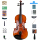 オールハンド柄バイオリンTL 004-2セット