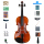 オールハンド柄バイオリンTL 004-3セット